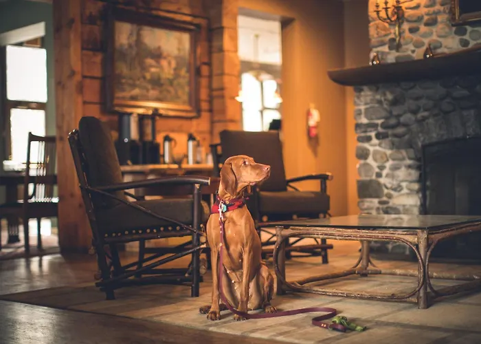 Emerald Lake Lodge